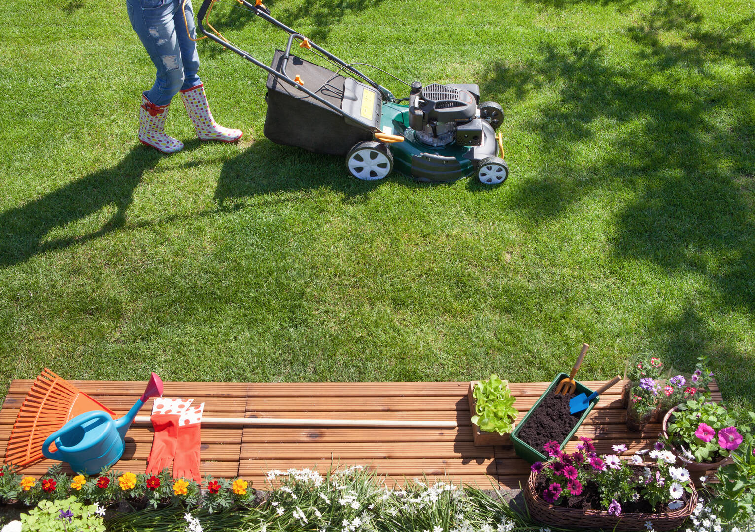 Williams Tree Maintenance logo