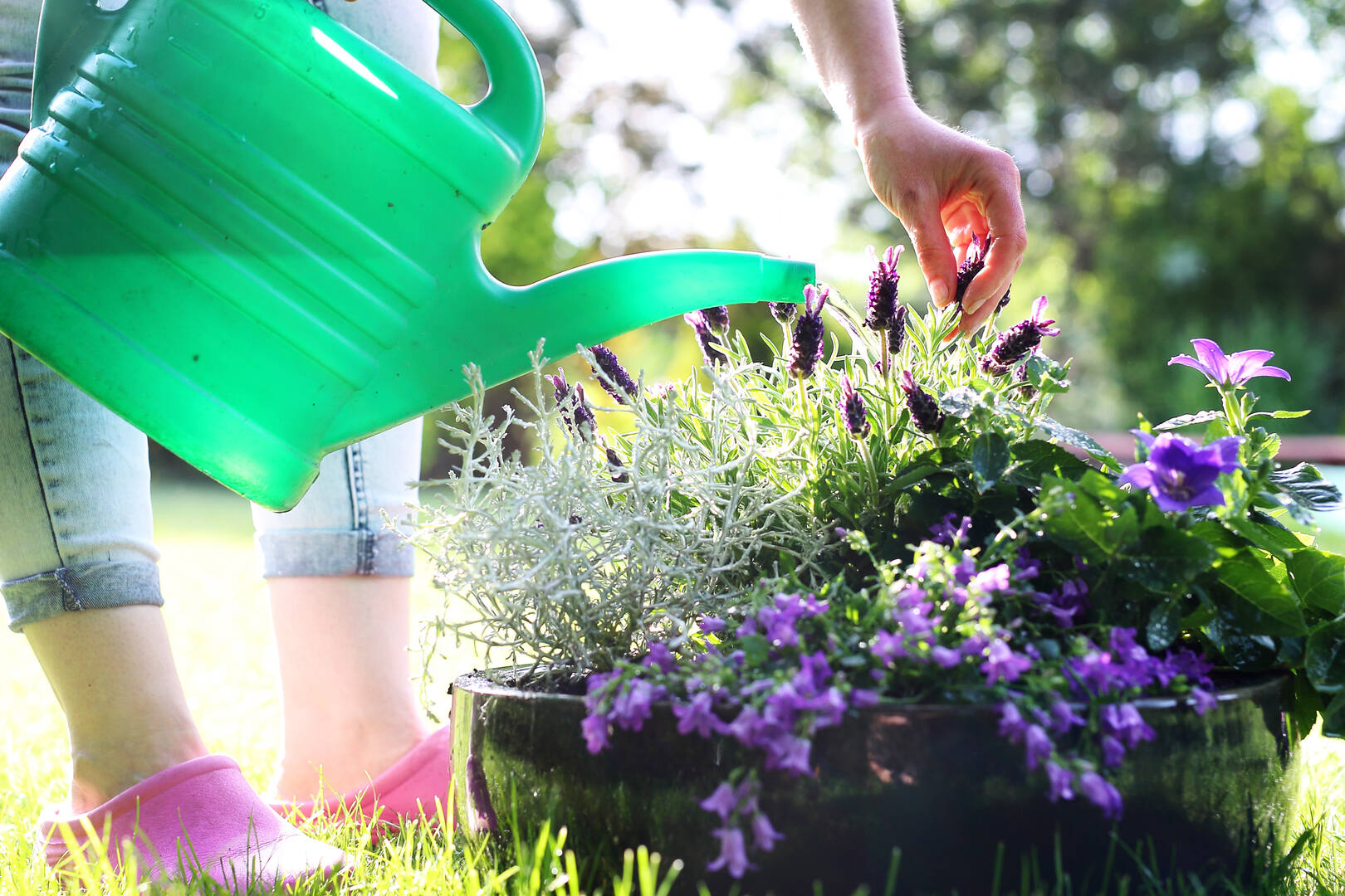 Red Mill Landscaping & Nursery logo
