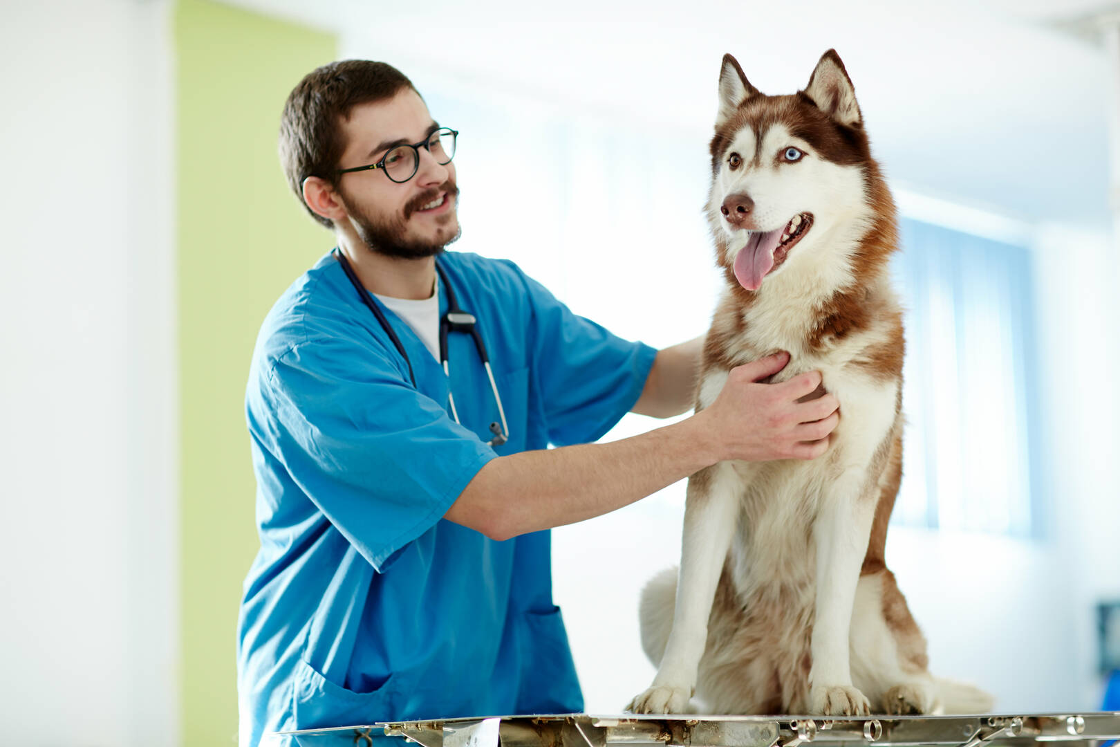 Ashland Terrace Animal Hospital logo