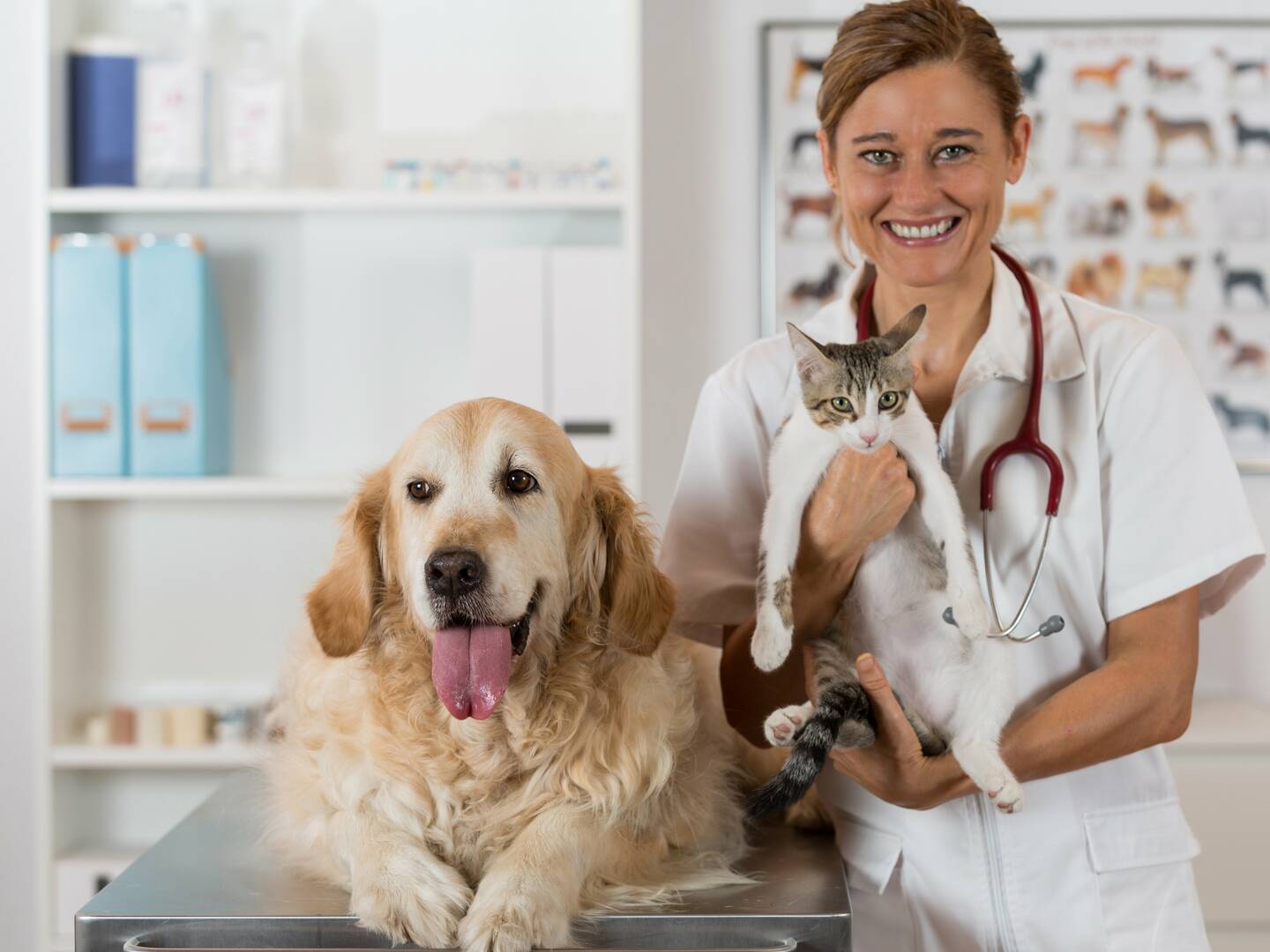 Great Southern Animal Hospital logo
